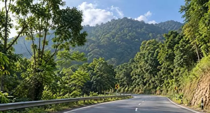 Manipur: अतिक्रमण-विरोधी अभियान के बाद वैथौ जंगल में हरियाली लौटी Manipur: अतिक्रमण-विरोधी अभियान के बाद वैथौ जंगल में हरियाली लौटी