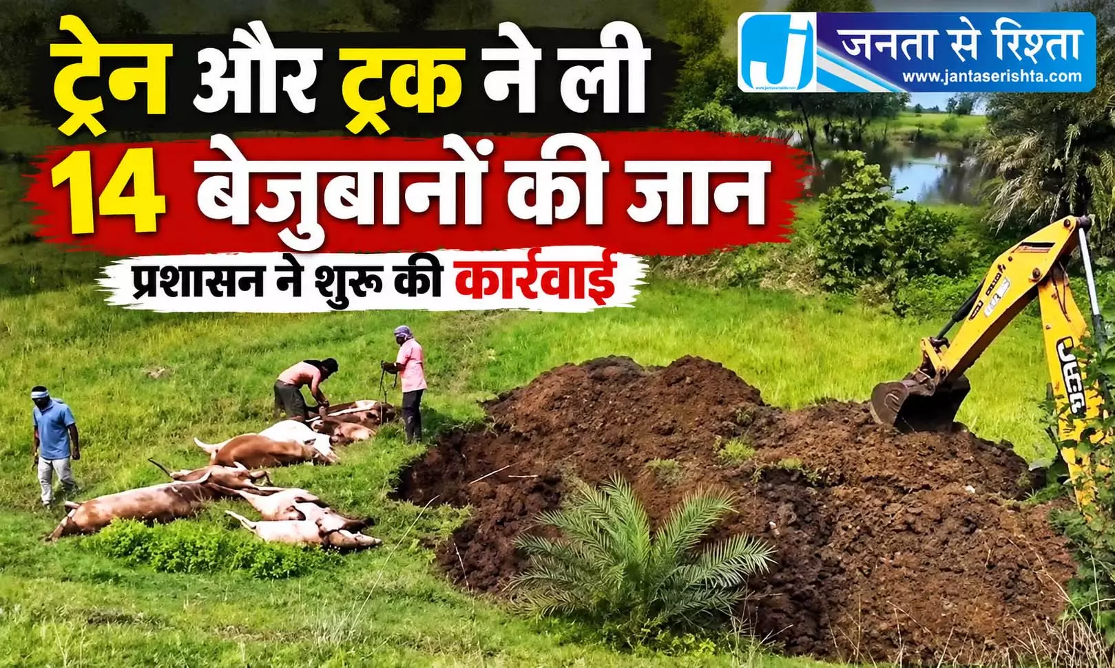 ट्रेन और ट्रक ने ली 14 बेजुबानों की जान, प्रशासन ने शुरू की कार्रवाई ट्रेन और ट्रक ने ली 14 बेजुबानों की जान, प्रशासन ने शुरू की कार्रवाई