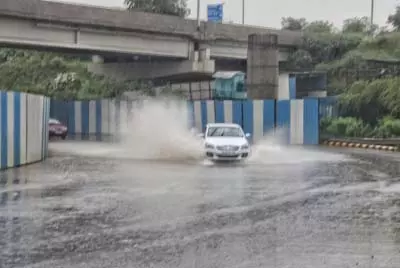 महिपालपुर जलभराव पर हाईकोर्ट सख्त, दिल्ली की एजेंसियों को लगाई फटकार महिपालपुर जलभराव पर हाईकोर्ट सख्त, दिल्ली की एजेंसियों को लगाई फटकार