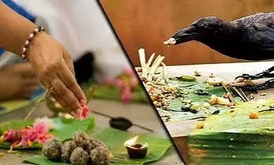 पितृ पक्ष: गाय, कौए और कुत्ते को भोजन कराने का महत्व पितृ पक्ष: गाय, कौए और कुत्ते को भोजन कराने का महत्व