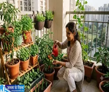 घर की बालकनी में उगाएं ताजी सब्जियां जानें तरीका घर की बालकनी में उगाएं ताजी सब्जियां जानें तरीका