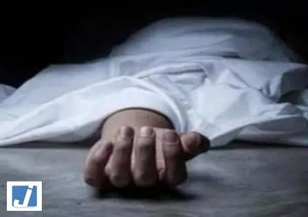 पाकिस्तान में 14 नवजातों की मौत ने उजागर की स्वास्थ्य व्यवस्था की बदहाली पाकिस्तान में 14 नवजातों की मौत ने उजागर की स्वास्थ्य व्यवस्था की बदहाली