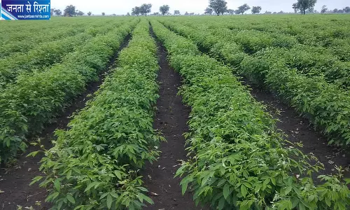 कर्नाटक में भूमि कानून बदलाव के बाद बढ़ी कृषि जमीन की बिक्री