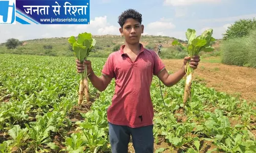 नूंह के किसान विदेशी किस्मों से बदल रहे मूली की खेती