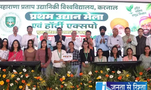 गेहूं धान के विकल्प तलाश रहे किसान बागवानी पर फोकस