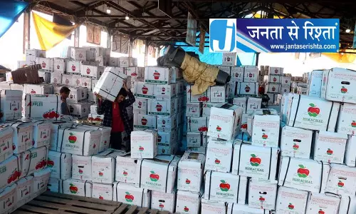 शिमला सोलन में सेब कारोबारियों पर कार्रवाई तेज