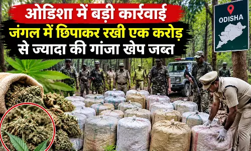 ओडिशा में बड़ी कार्रवाई, जंगल में छिपाकर रखी एक करोड़ से ज्यादा की गांजा खेप जब्त ओडिशा में बड़ी कार्रवाई, जंगल में छिपाकर रखी एक करोड़ से ज्यादा की गांजा खेप जब्त