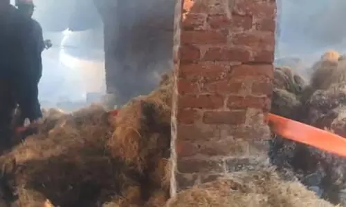 गाजियाबाद में कूलिंग पैड बनाने वाली फैक्ट्री में भीषण आग, आठ फायर टेंडरों ने पाया काबू गाजियाबाद में कूलिंग पैड बनाने वाली फैक्ट्री में भीषण आग, आठ फायर टेंडरों ने पाया काबू
