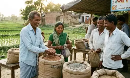 रबी फसल के लिए किसानों को निश्शुल्क मिलेगा सरसों और मसूर का बीज, पोर्टल पर कर सकेंगे बुकिंग