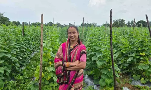 स्व-सहायता समूहों से मिला साथ, बचत और ऋण से आजीविका को मिला विस्तार