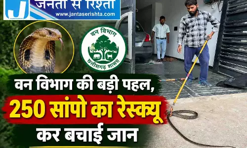 वन विभाग की बड़ी पहल, 250 सांपो का रेस्क्यू कर बचाई जान