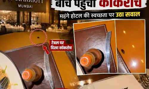 5 स्टार होटल की टेबल पर घूमता मिला कॉकरोच, डॉक्टर ने शेयर किया वीडियो