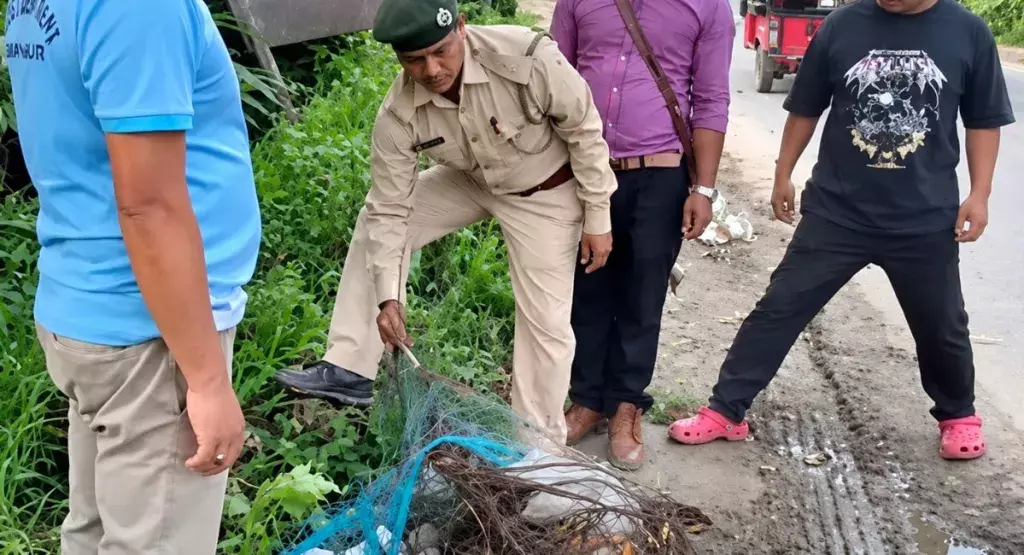 अवैध शिकार पर नकेल: मणिपुर में बरामद हुए दो मरे पक्षी और जाल अवैध शिकार पर नकेल: मणिपुर में बरामद हुए दो मरे पक्षी और जाल