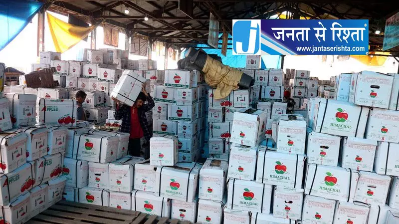 शिमला सोलन में सेब कारोबारियों पर कार्रवाई तेज शिमला सोलन में सेब कारोबारियों पर कार्रवाई तेज