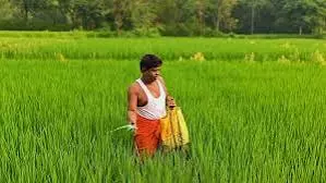 Purulia: भाजपा विधायक का खेत में खाद छिड़कते वीडियो चर्चा में Purulia: भाजपा विधायक का खेत में खाद छिड़कते वीडियो चर्चा में