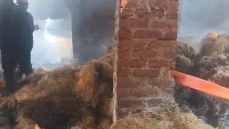 गाजियाबाद में कूलिंग पैड बनाने वाली फैक्ट्री में भीषण आग, आठ फायर टेंडरों ने पाया काबू गाजियाबाद में कूलिंग पैड बनाने वाली फैक्ट्री में भीषण आग, आठ फायर टेंडरों ने पाया काबू
