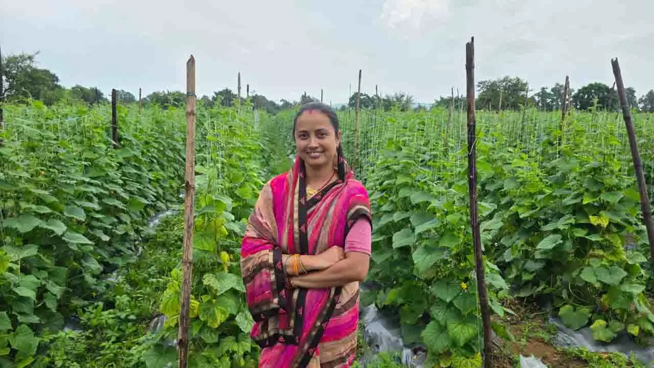 स्व-सहायता समूहों से मिला साथ, बचत और ऋण से आजीविका को मिला विस्तार स्व-सहायता समूहों से मिला साथ, बचत और ऋण से आजीविका को मिला विस्तार