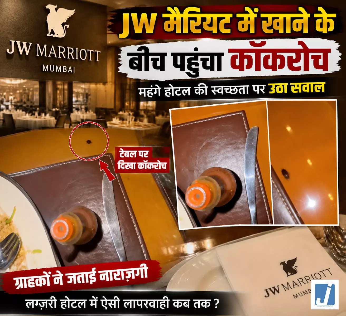 5 स्टार होटल की टेबल पर घूमता मिला कॉकरोच, डॉक्टर ने शेयर किया वीडियो 5 स्टार होटल की टेबल पर घूमता मिला कॉकरोच, डॉक्टर ने शेयर किया वीडियो