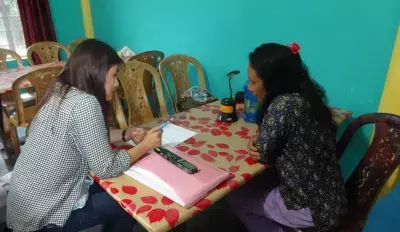 स्टडी में खुलासा अनानास की खेती में सुधार की जरूरत