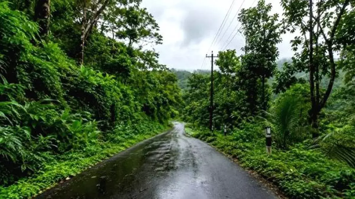 टीकोय में भूस्खलन से महिला की मौत, मलप्पुरम में बाढ़ से चार लापता टीकोय में भूस्खलन से महिला की मौत, मलप्पुरम में बाढ़ से चार लापता