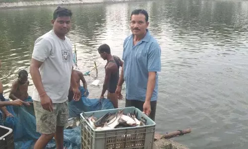 0.40 हेक्टेयर में गुलाब पटेल ने लिखा मछली पालन से समृद्धि का नया अध्याय