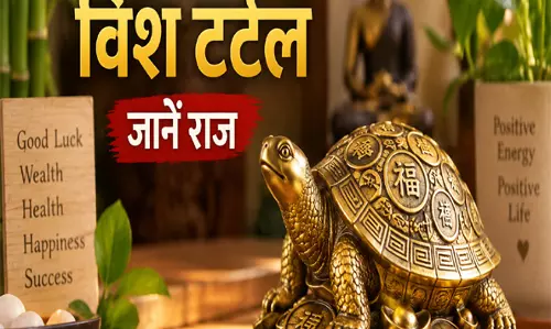 फेंगशुई में क्यों खास है विश टर्टल जानें राज फेंगशुई में क्यों खास है विश टर्टल जानें राज