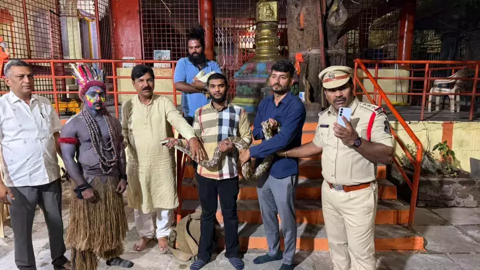Telangana: नृत्य प्रदर्शन में प्रयुक्त अजगर को जवाहरनगर में बचाया गया Telangana: नृत्य प्रदर्शन में प्रयुक्त अजगर को जवाहरनगर में बचाया गया