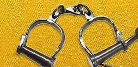 अवैध हथियार गिरोह का पर्दाफाश अवैध हथियार गिरोह का पर्दाफाश
