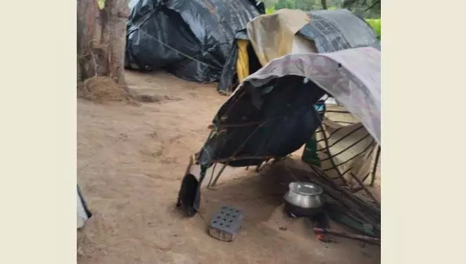 गहिरमाथा के मछुआरों पर मंडराया खतरा गहिरमाथा के मछुआरों पर मंडराया खतरा