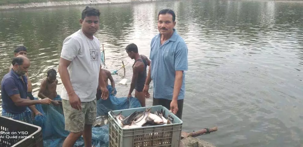 0.40 हेक्टेयर में गुलाब पटेल ने लिखा मछली पालन से समृद्धि का नया अध्याय 0.40 हेक्टेयर में गुलाब पटेल ने लिखा मछली पालन से समृद्धि का नया अध्याय