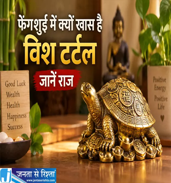 फेंगशुई में क्यों खास है विश टर्टल जानें राज फेंगशुई में क्यों खास है विश टर्टल जानें राज
