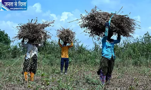 कर्नाटक में फसल लोन 45% बढ़ा कर्नाटक में फसल लोन 45% बढ़ा