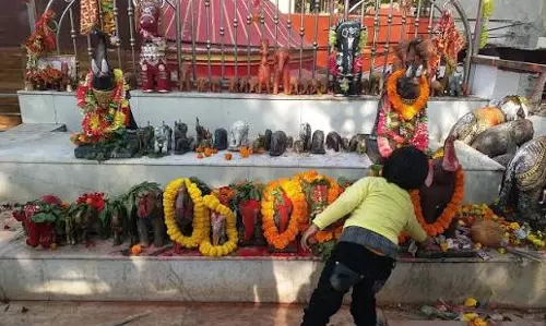 मन्नत पूरी होते ही लोग चढ़ाते हैं मिट्टी का हाथी जानें अनोखी परंपरा मन्नत पूरी होते ही लोग चढ़ाते हैं मिट्टी का हाथी जानें अनोखी परंपरा