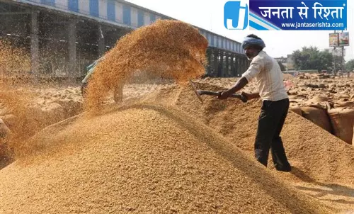 मोहाली में धान की खरीद 1 अक्टूबर से शुरू होगी; 18 केंद्र स्थापित