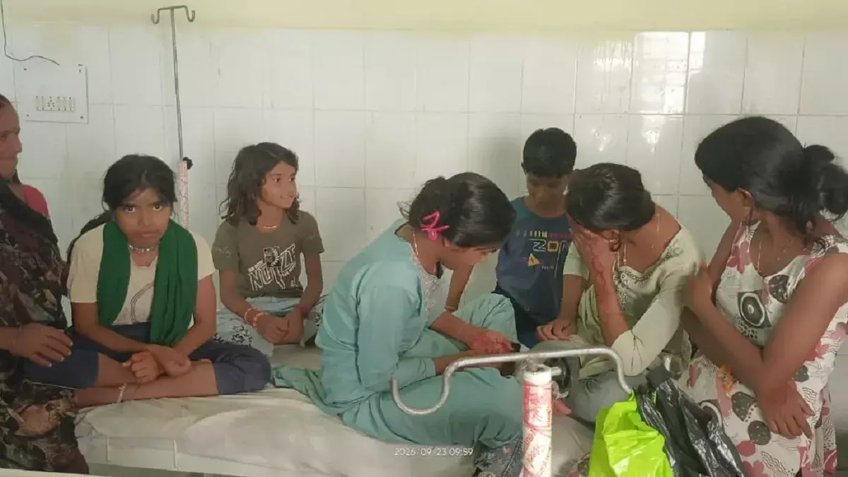 करम डाल विसर्जन के दौरान भंवरों का हमला, बच्चों समेत कई घायल