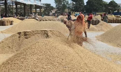 खरीफ किसानों के लिए पोर्टल फिर खुला खरीफ किसानों के लिए पोर्टल फिर खुला