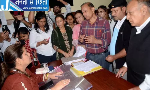 शिमला में आवारा पशुओं की समस्या गंभीर