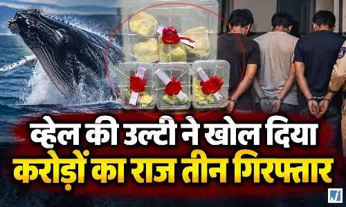 1.05 करोड़ की व्हेल की उल्टी लेकर घूम रहे थे तीन लोग, पुलिस ने दबोचा 1.05 करोड़ की व्हेल की उल्टी लेकर घूम रहे थे तीन लोग, पुलिस ने दबोचा