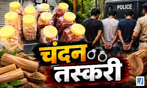 Smuggling: फ्लाइट से पहले खुला बैग का राज, 11 कंटेनरों में मिला चंदन