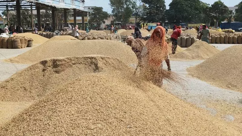 खरीफ किसानों के लिए पोर्टल फिर खुला खरीफ किसानों के लिए पोर्टल फिर खुला