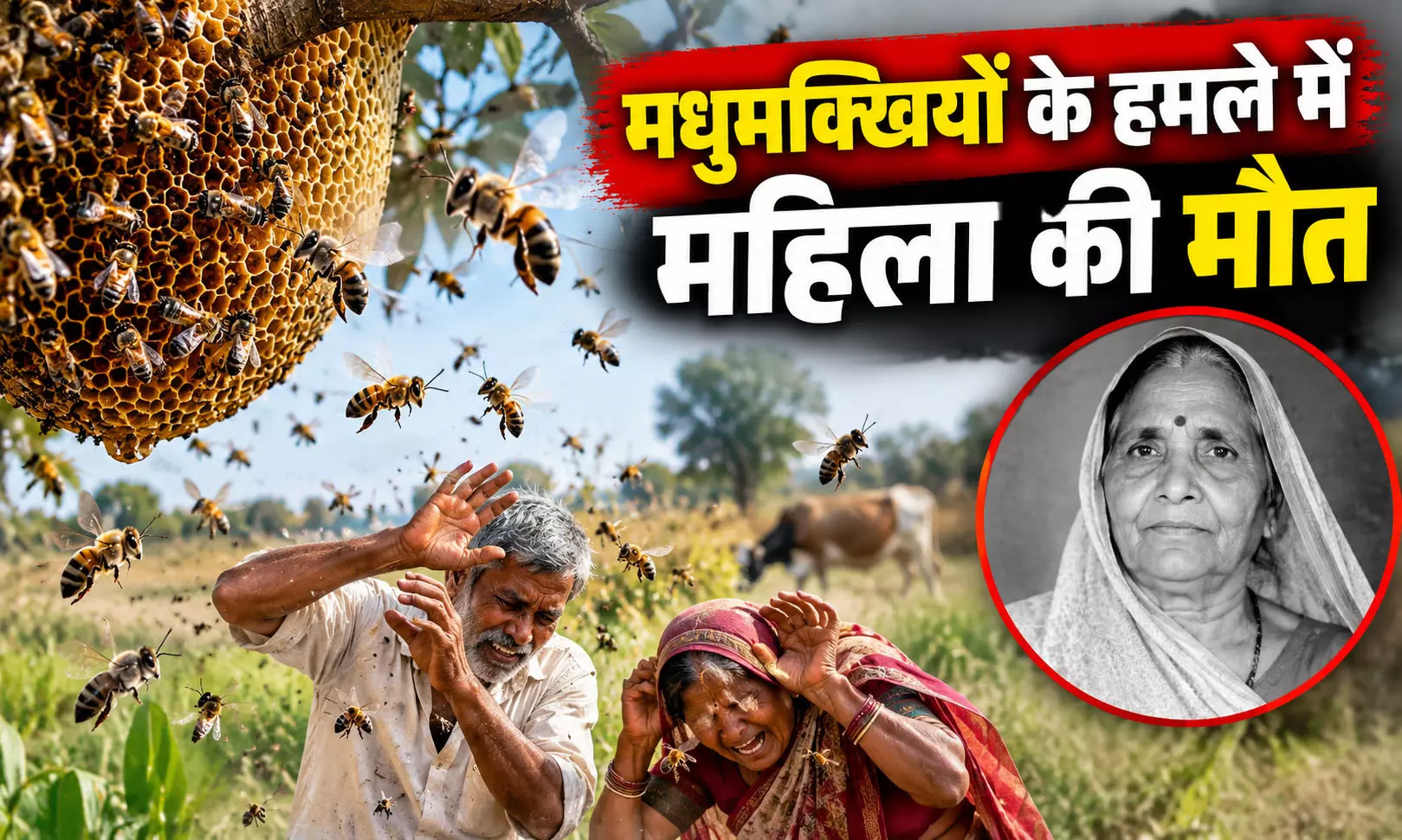 मधुमक्खियों के हमले में महिला की मौत मधुमक्खियों के हमले में महिला की मौत