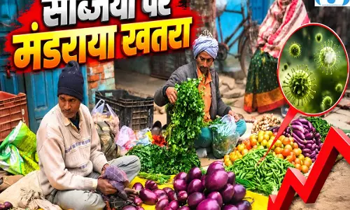 दिल्ली की सब्जियों को लेकर अलर्ट, यमुना किनारे मिला बड़ा खतरा