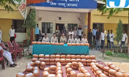 गांजा तस्करी का बड़ा नेटवर्क, दो महीने में 889 किलो बरामद