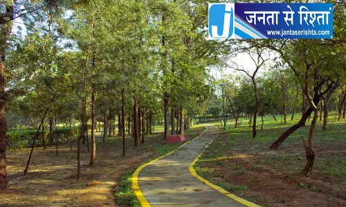 भाजपा नेता सफाई, वृक्षारोपण अभियान में शामिल हुए