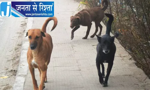 दिल्ली HC का दो लोगों को अवमानना नोटिस दिल्ली HC का दो लोगों को अवमानना नोटिस