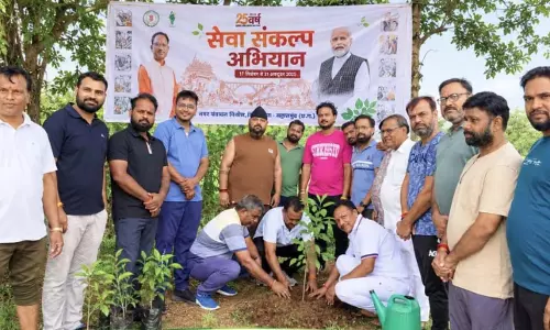सेवा मेरा योगदान के तहत नगरीय निकायों में चला विशेष स्वच्छता एवं वृक्षारोपण अभियान