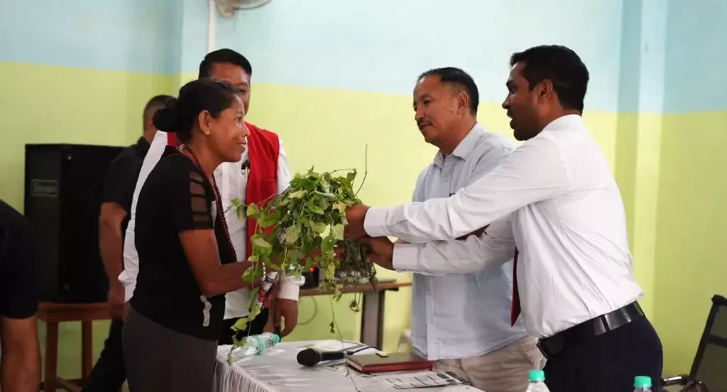 न्यूलैंड में पाइपर की खेती शुरू हुई