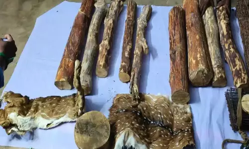 तिरुचिरापल्ली में हिरण की खाल और 77 किलो चंदन जब्त