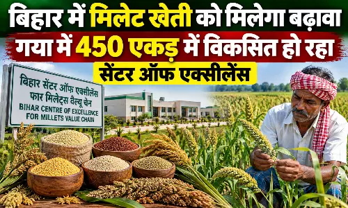 बिहार में मिलेट खेती को मिलेगा बढ़ावा, गया में 450 एकड़ में विकसित हो रहा सेंटर ऑफ एक्सीलेंस बिहार में मिलेट खेती को मिलेगा बढ़ावा, गया में 450 एकड़ में विकसित हो रहा सेंटर ऑफ एक्सीलेंस