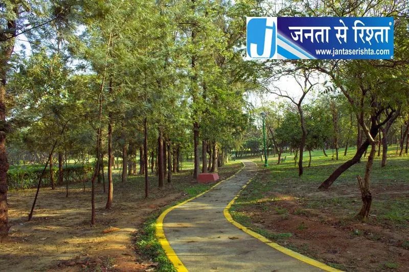 भाजपा नेता सफाई, वृक्षारोपण अभियान में शामिल हुए भाजपा नेता सफाई, वृक्षारोपण अभियान में शामिल हुए